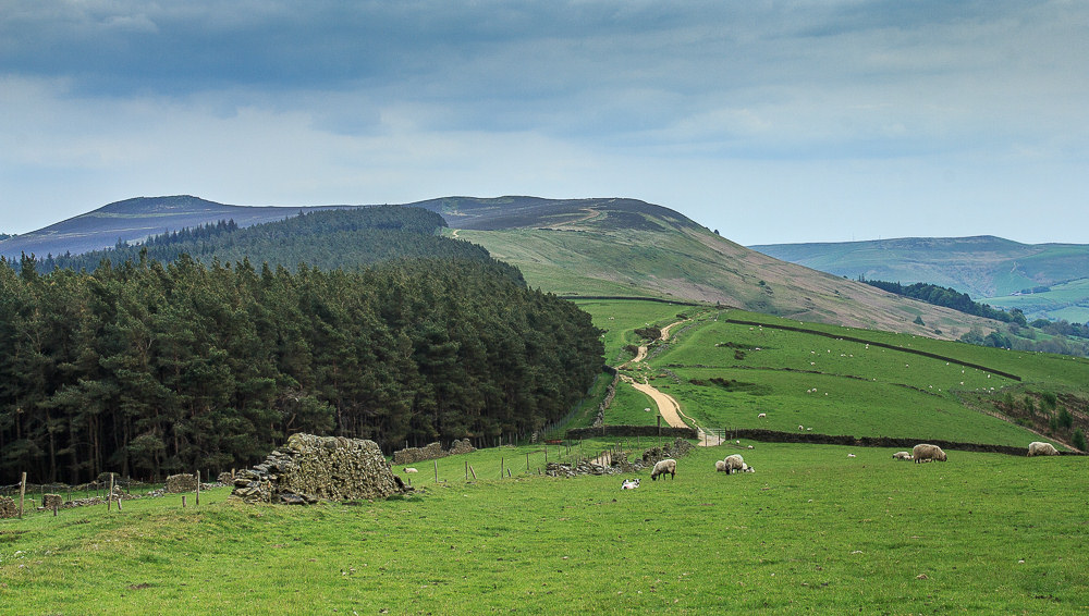 Hope Cross